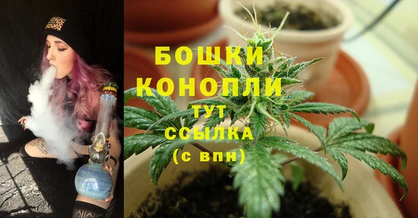 бутик Бородино