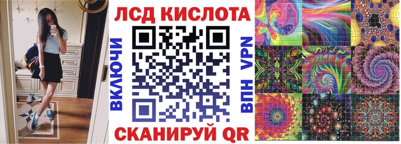 дарнет шоп Архангельск omg рабочий сайт Наркотические марки 1,8мг