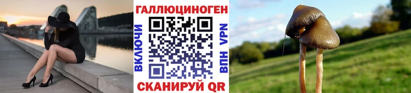ОМГ ОМГ ССЫЛКА Архангельск Псилоцибиновые грибы прущие грибы продажа наркотиков