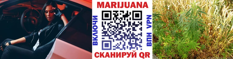 как найти наркотики  Архангельск  Конопля White Widow 